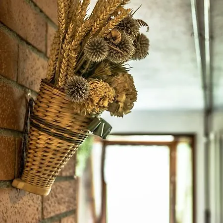 Seconda Stella A Destra * Valgrisenche