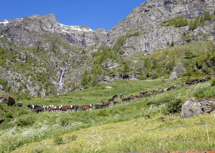 Lejlighed Seconda Stella A Destra *