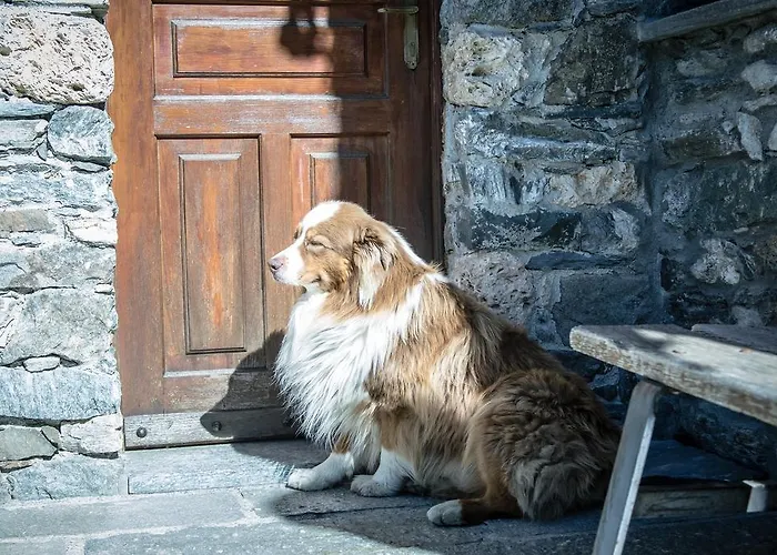 Seconda Stella A Destra *