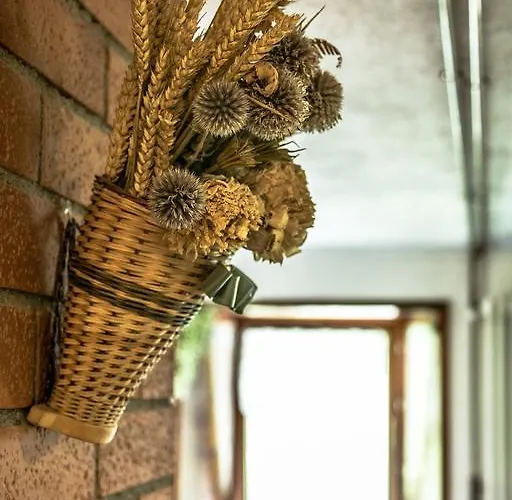 Seconda Stella A Destra * Valgrisenche